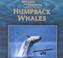 Go to record Humpback whales