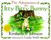Go to record The adventures of the itty bitty bunny