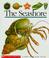 Go to record The seashore