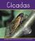 Go to record Cicadas