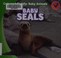 Go to record Baby seals