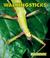 Go to record Walkingsticks