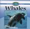Go to record Whales
