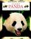 Go to record Giant panda : habitats, life cycles, food chains, threats