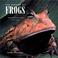 Go to record The nature of frogs : amphibians with attitude