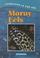 Go to record Moray eels