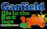 Go to record Garfield, life in the fat lane