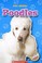 Go to record Poodles