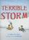 Go to record Terrible storm