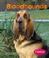 Go to record Bloodhounds