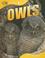 Go to record Owls