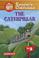 Go to record The caterpillar