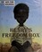Go to record Henry's freedom box