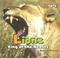 Go to record Lions : king of the beasts
