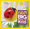Go to record Little kids first big book of bugs