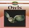 Go to record Owls