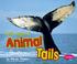 Go to record Let's look at animal tails