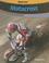 Go to record Motocross