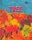 Go to record The life of a tree