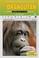 Go to record The orangutan