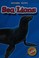 Go to record Sea lions