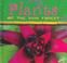 Go to record Plants of the rain forest