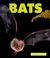 Go to record Bats