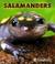 Go to record Salamanders