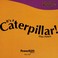 Go to record It's a caterpillar!