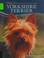 Go to record Yorkshire terrier