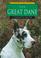 Go to record The great dane
