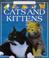 Go to record Cats and kittens