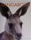 Go to record Kangaroos