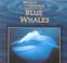 Go to record Blue whales