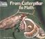 Go to record From caterpillar to moth