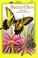 Go to record Butterflies