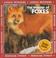 Go to record The wonder of foxes