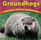 Go to record Groundhogs : woodchucks, marmots, and whistle pigs