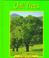 Go to record Oak trees
