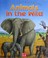 Go to record Animals in the wild