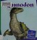Go to record Iguanodon