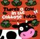 Go to record There's a cow in the cabbage patch