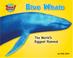Go to record Blue whale : the world's biggest mammal