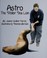 Go to record Astro, the Steller sea lion : The Steller Sea Lion