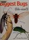 Go to record Biggest bugs life-size