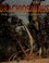 Go to record Brachiosaurus : the long-limbed dinosaur