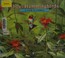 Go to record About hummingbirds : a guide for children