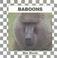 Go to record Baboons