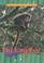 Go to record Tree kangaroos