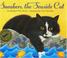 Go to record Sneakers, the seaside cat